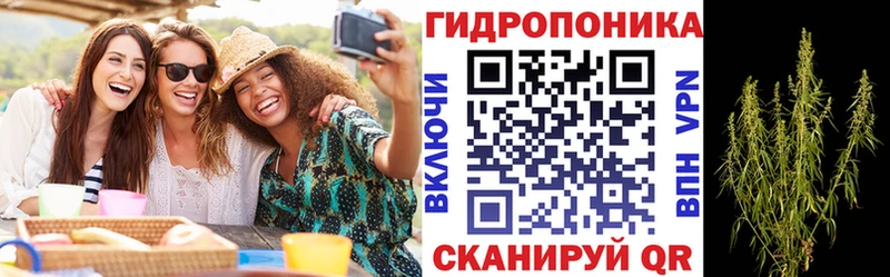 нарко площадка наркотические препараты  закладки  Городище  МАРИХУАНА сатива 